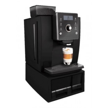 BL1003